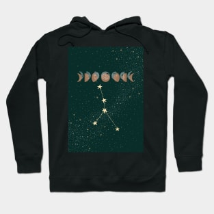 Cancer zodiac Moon phases Hoodie